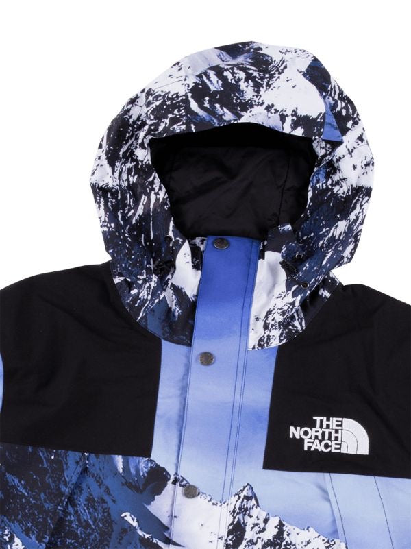 The North Face Puffer Jacket