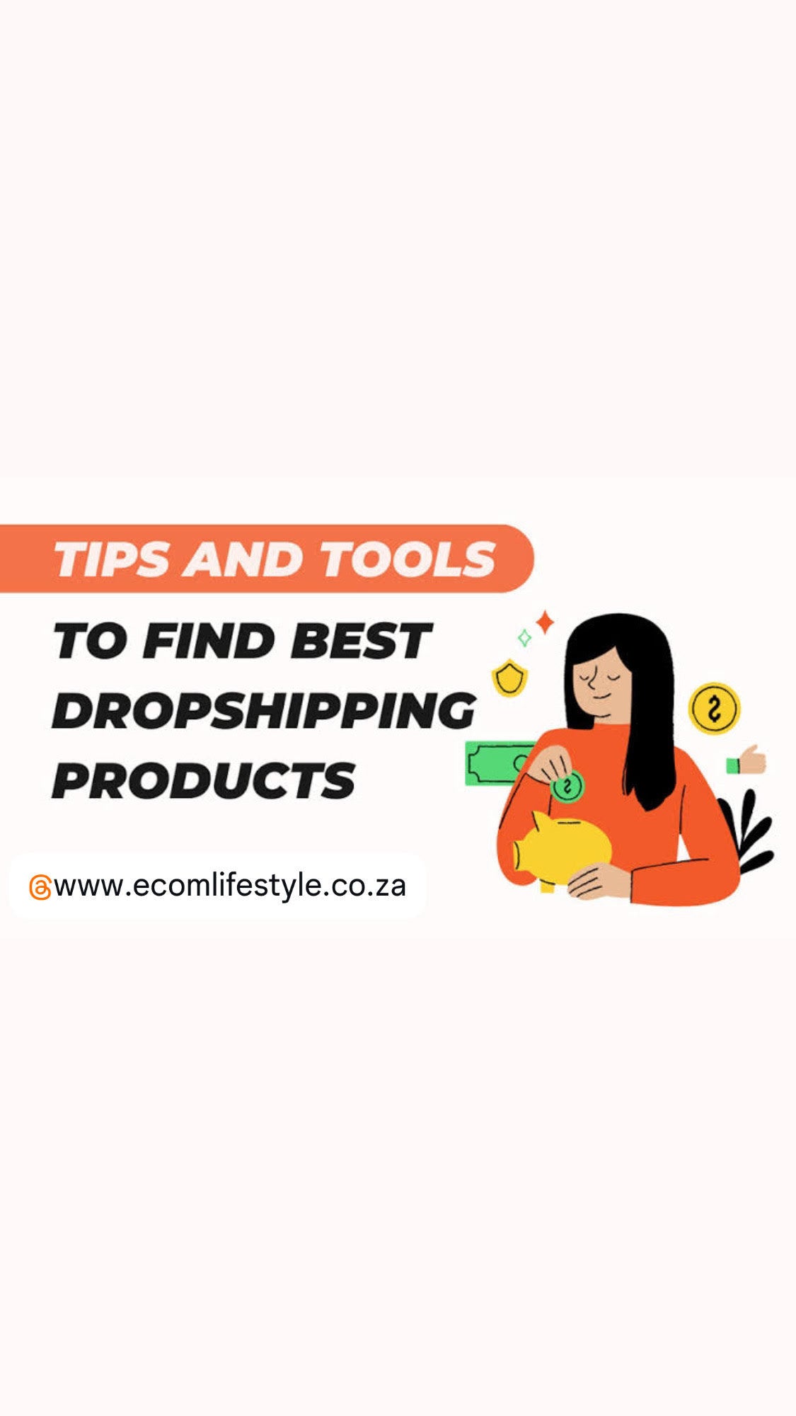 Best Dropshipping Products Guideline